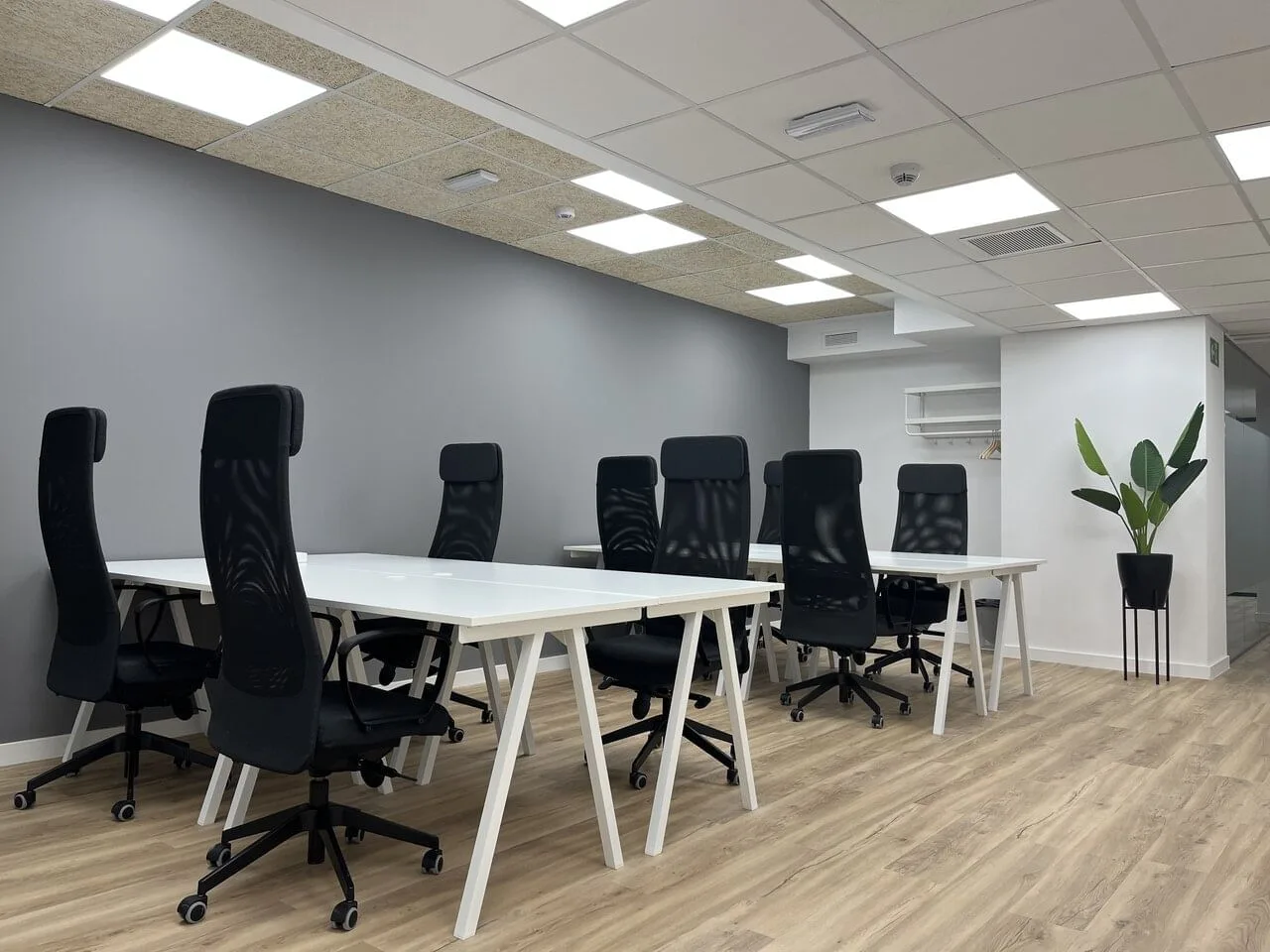 Cink Coworking Condesa de Venadito, Open-plan office, Madrid