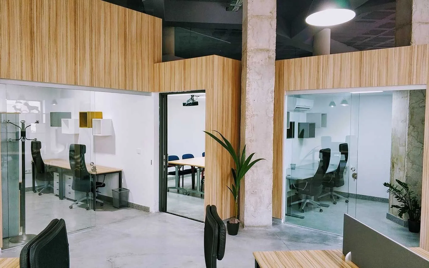 Clot De La Sal, Open-plan office, Novelda
