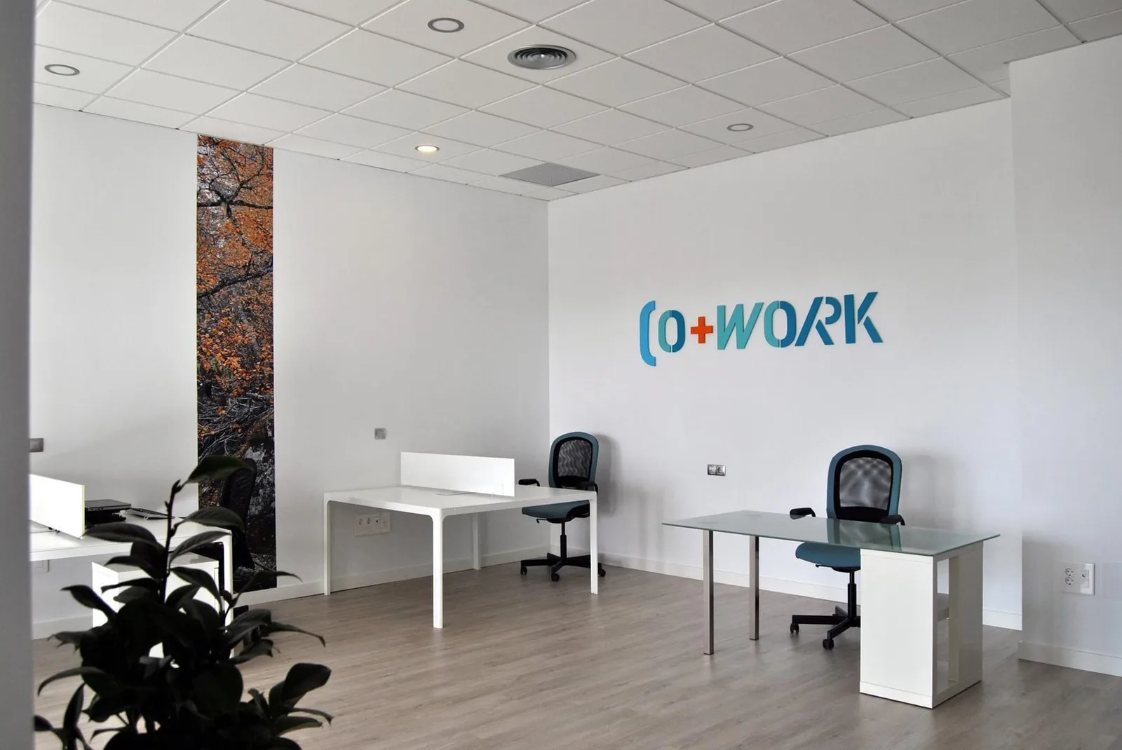 Co + Work, Private office, 5 desks, Málaga
