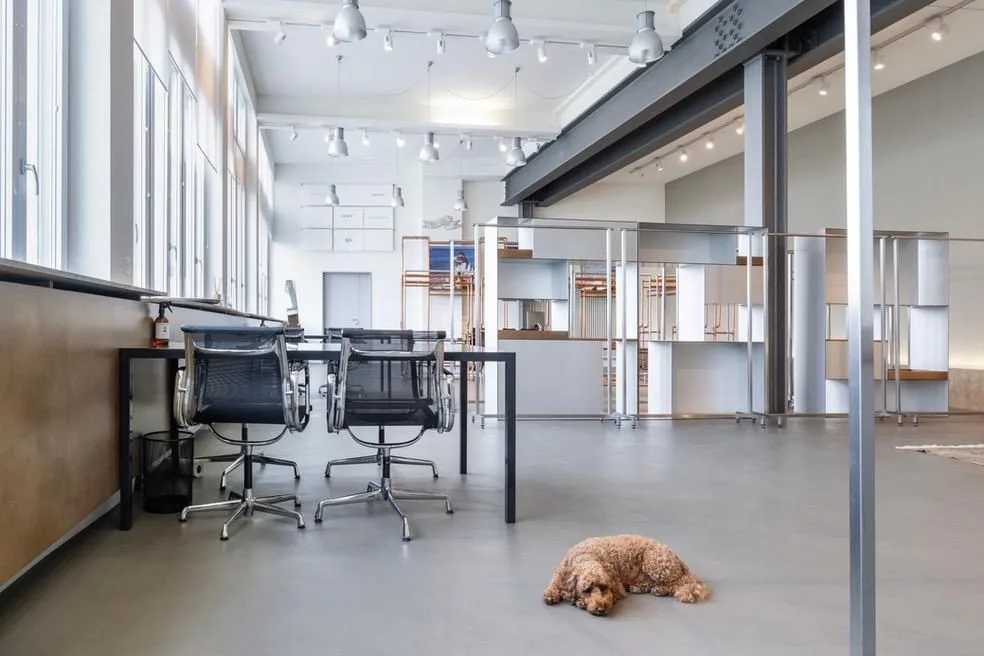 Co-working-spaceLlakeview, Open-plan office, Thalwil
