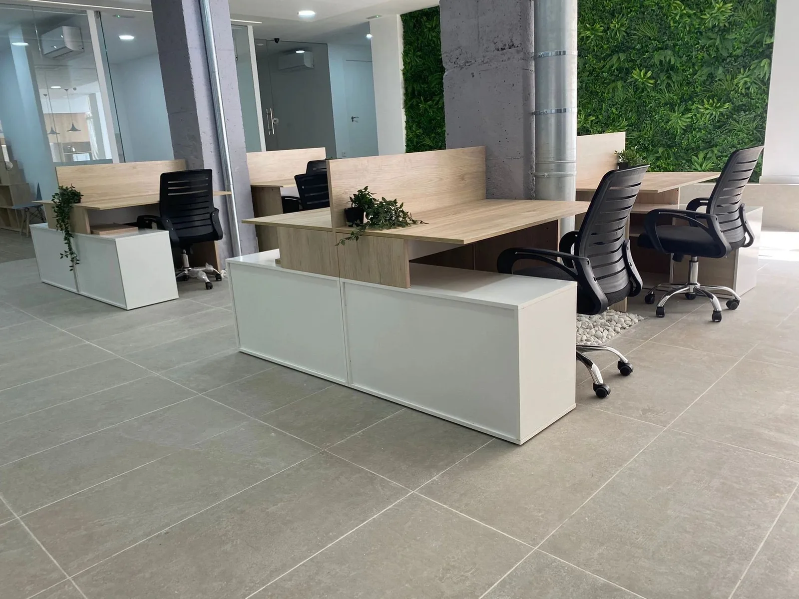 Coalte , Open space, Alicante (Alacant)