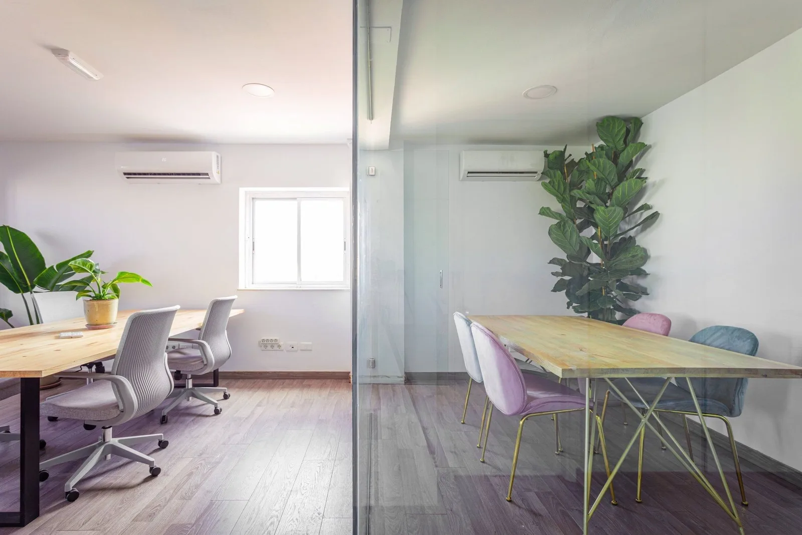 Coco Tropical Coworking, Meeting room for 6 people, Las Palmas de Grande Canarie