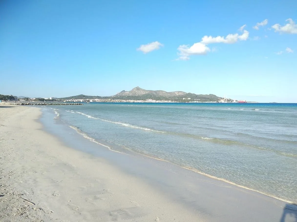 Cocowork , Alcúdia, foto 2