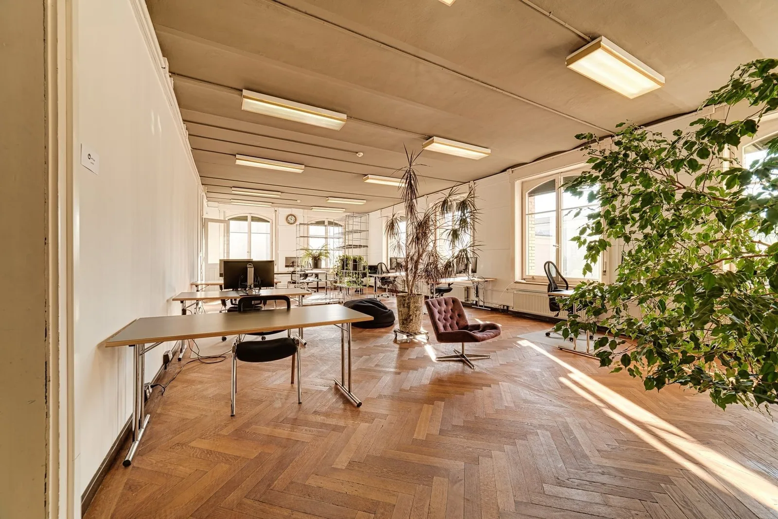 Colab Fribourg - Jacques-Gachoud, Open space, Fribourg