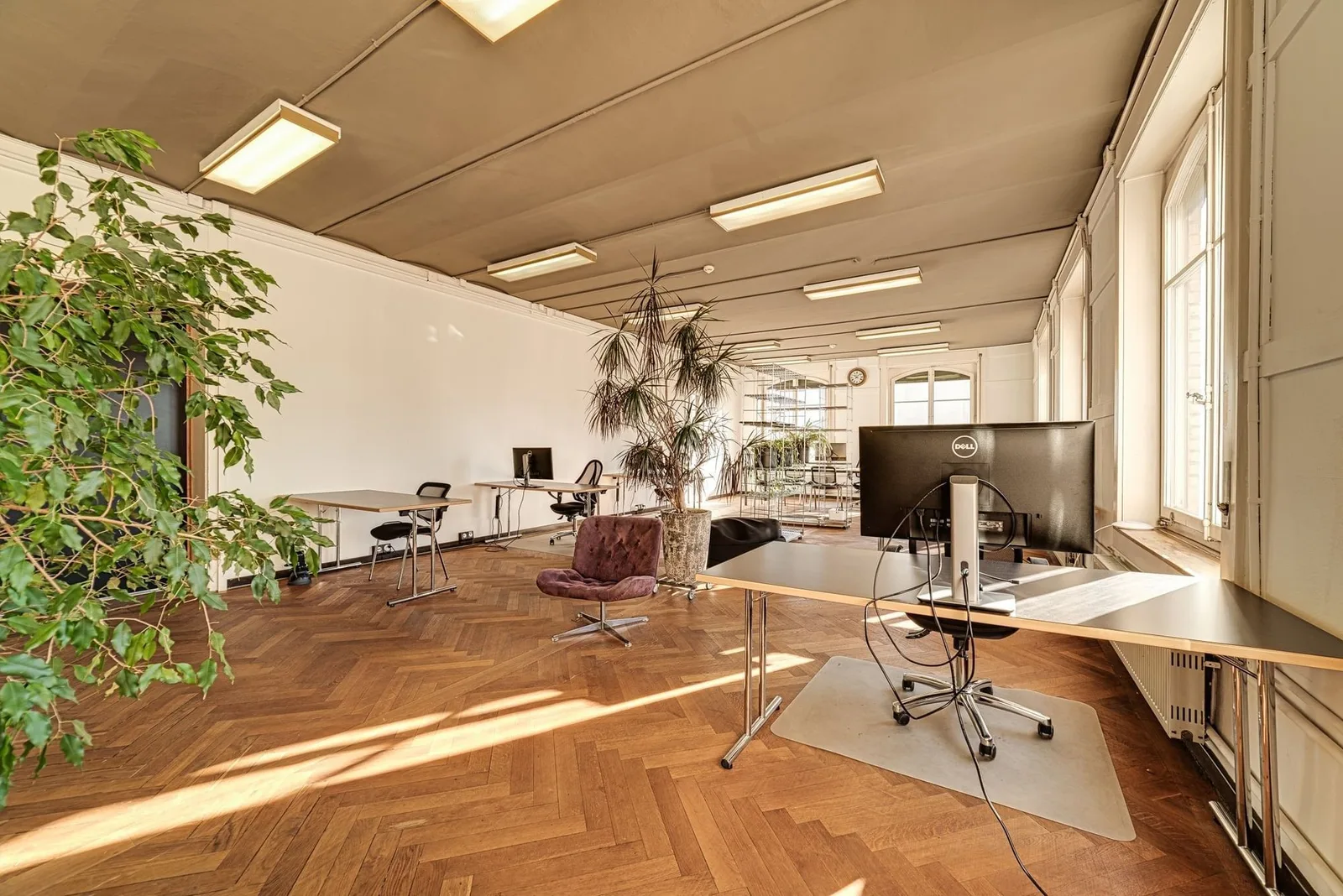 Colab Fribourg - Tivoli, Open space, Fribourg