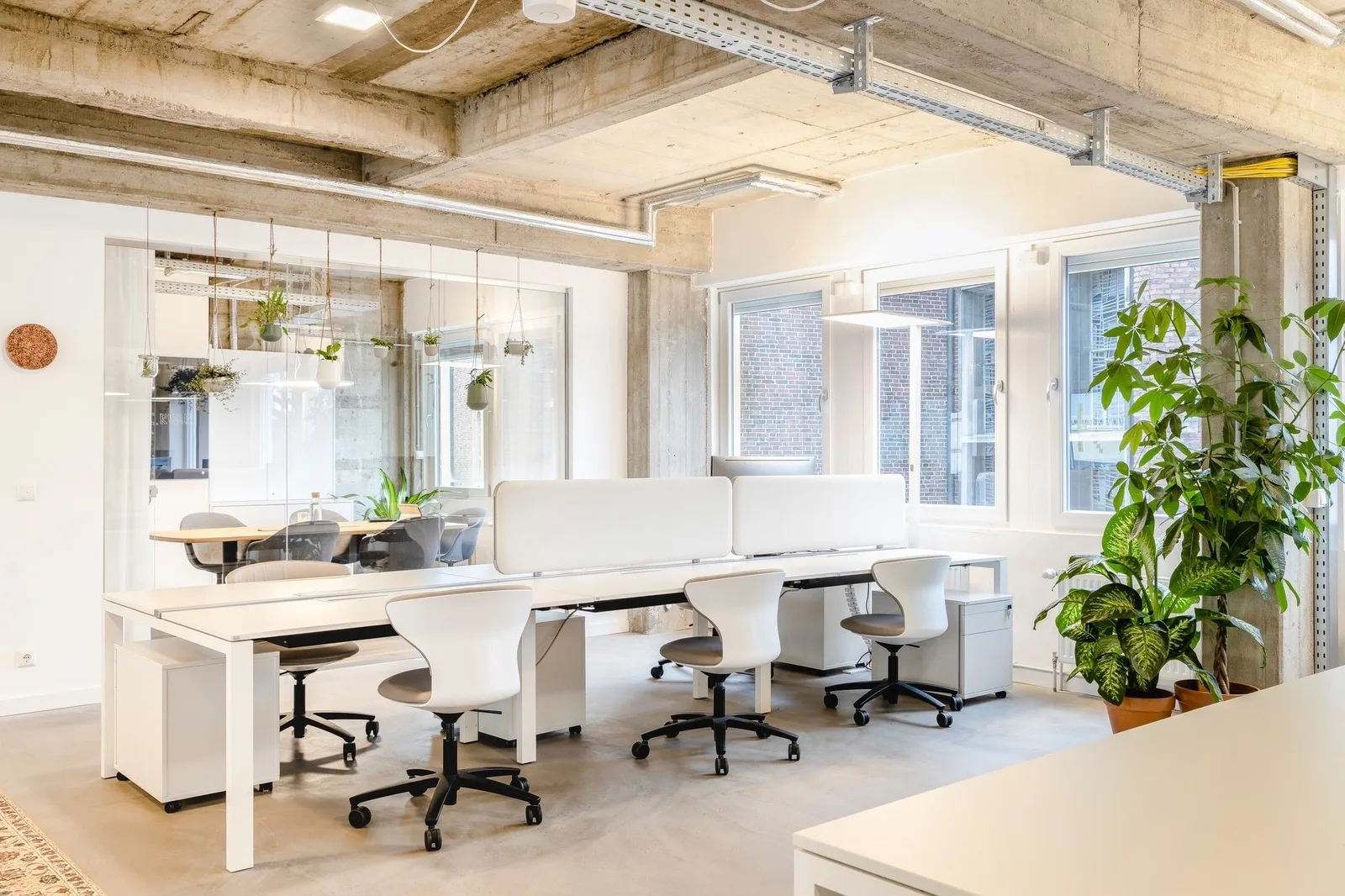 Collective.ruhr Essen Rüttenscheider, Open-plan office, Essen