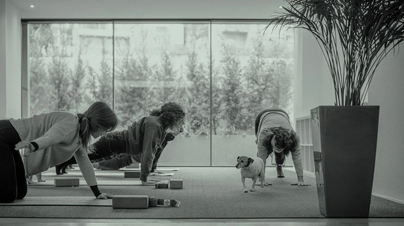 The Community, Sala de deporte, Lisboa