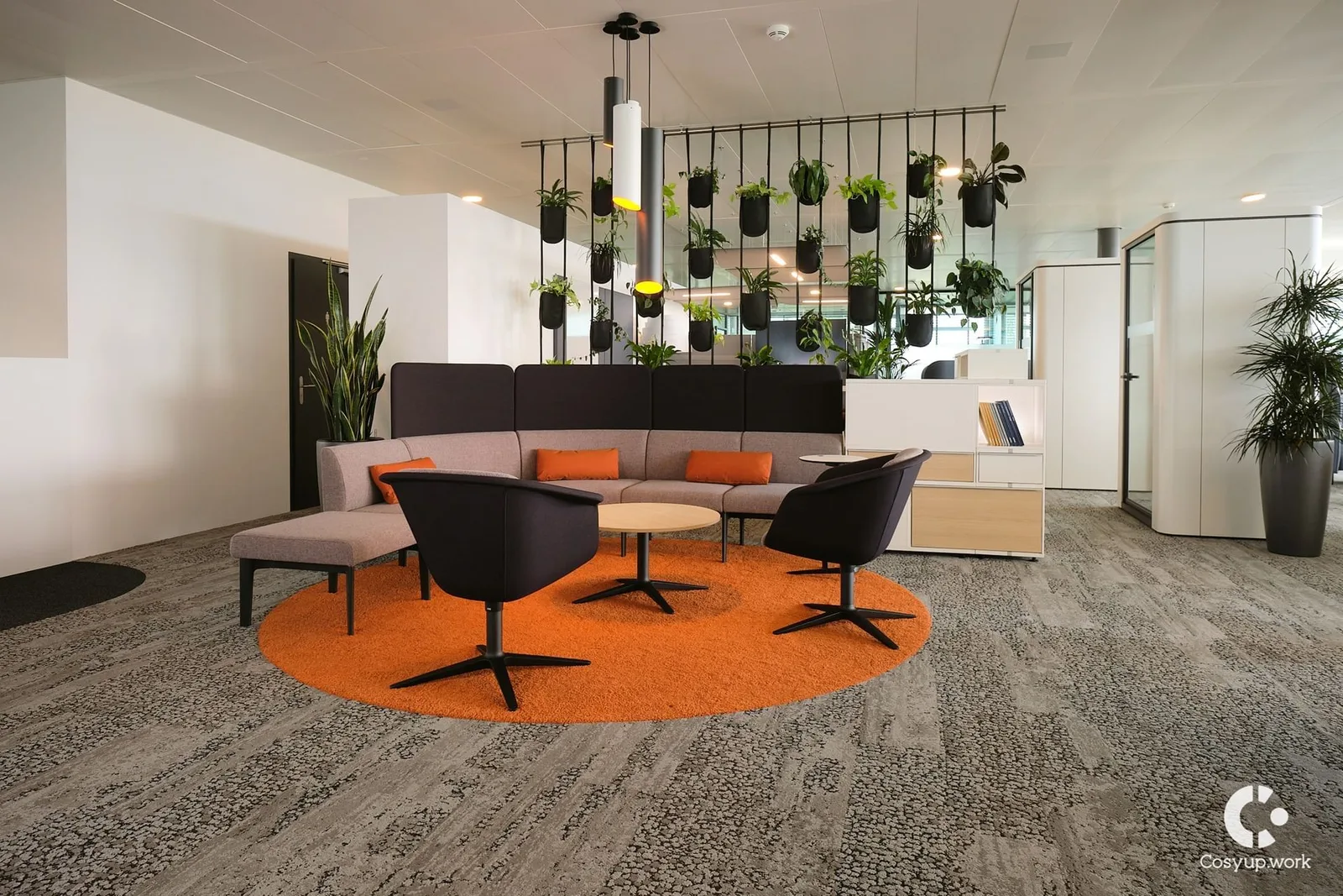 Cosyup, Espace détente, Meyrin
