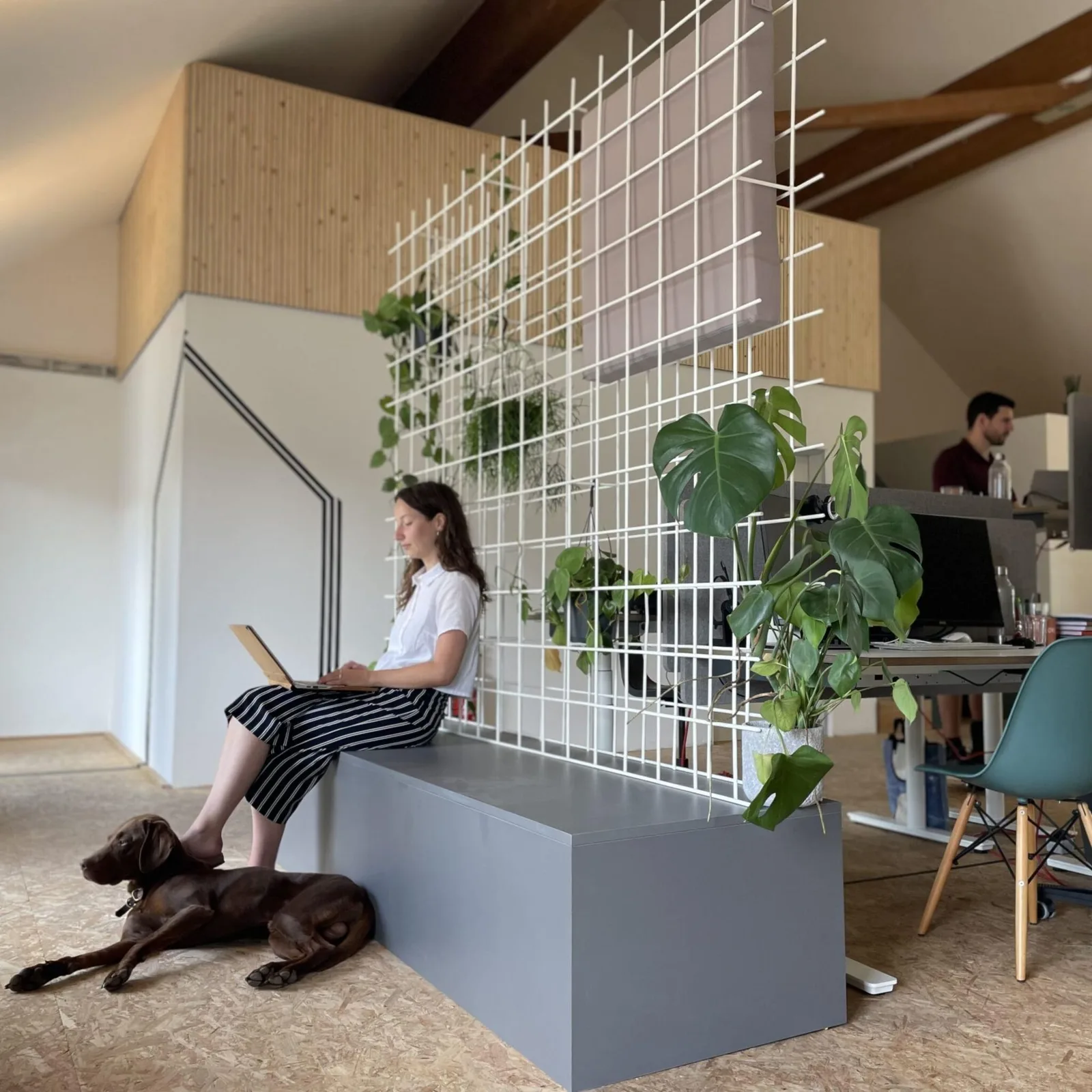 coWERK Stephanskirchen, Coworking space, Stephanskirchen