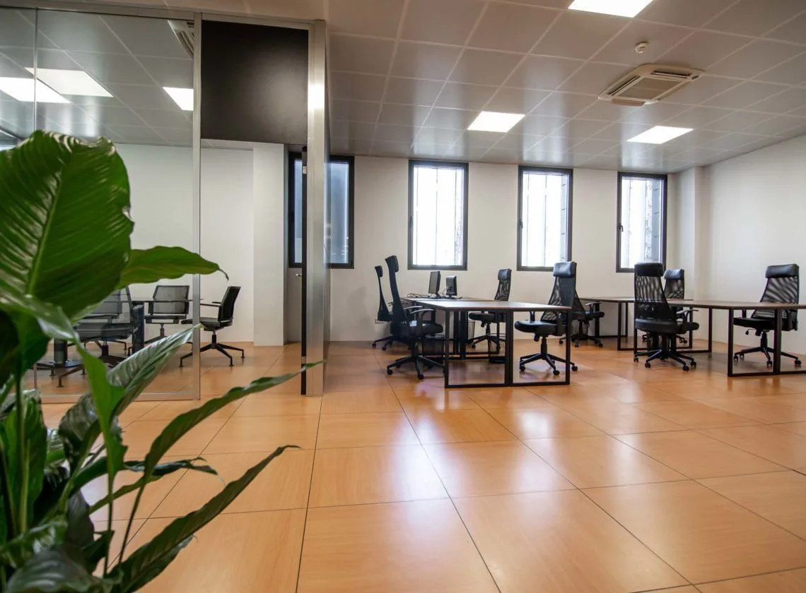 Cowork Bit, Open-plan office, Palma