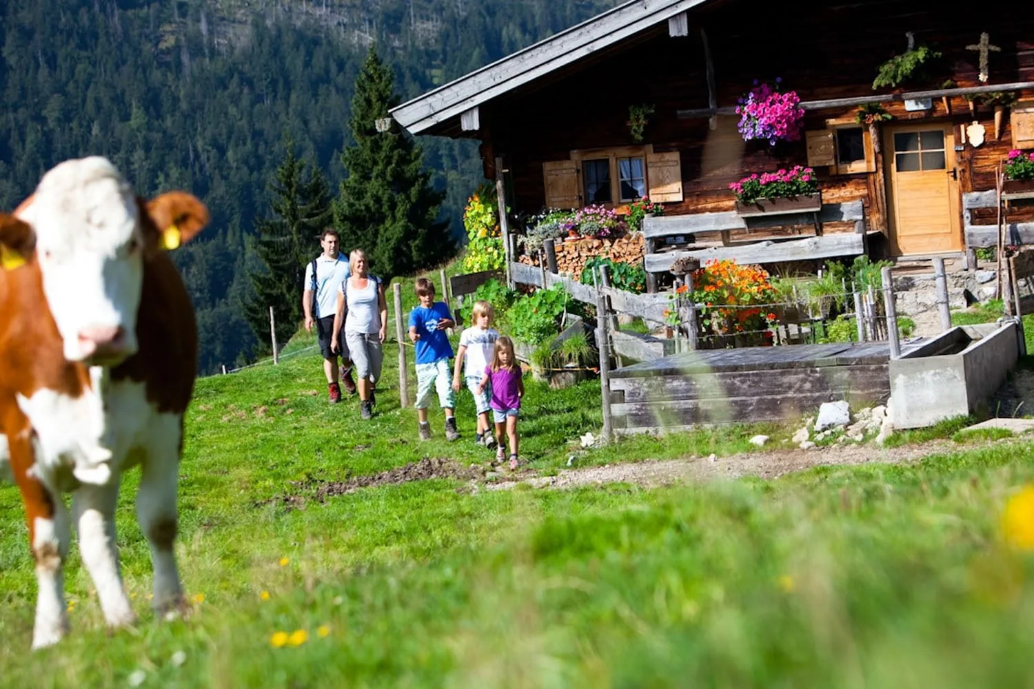 CoworkationALPS Bayrischzell, Bayrischzell, Foto 4