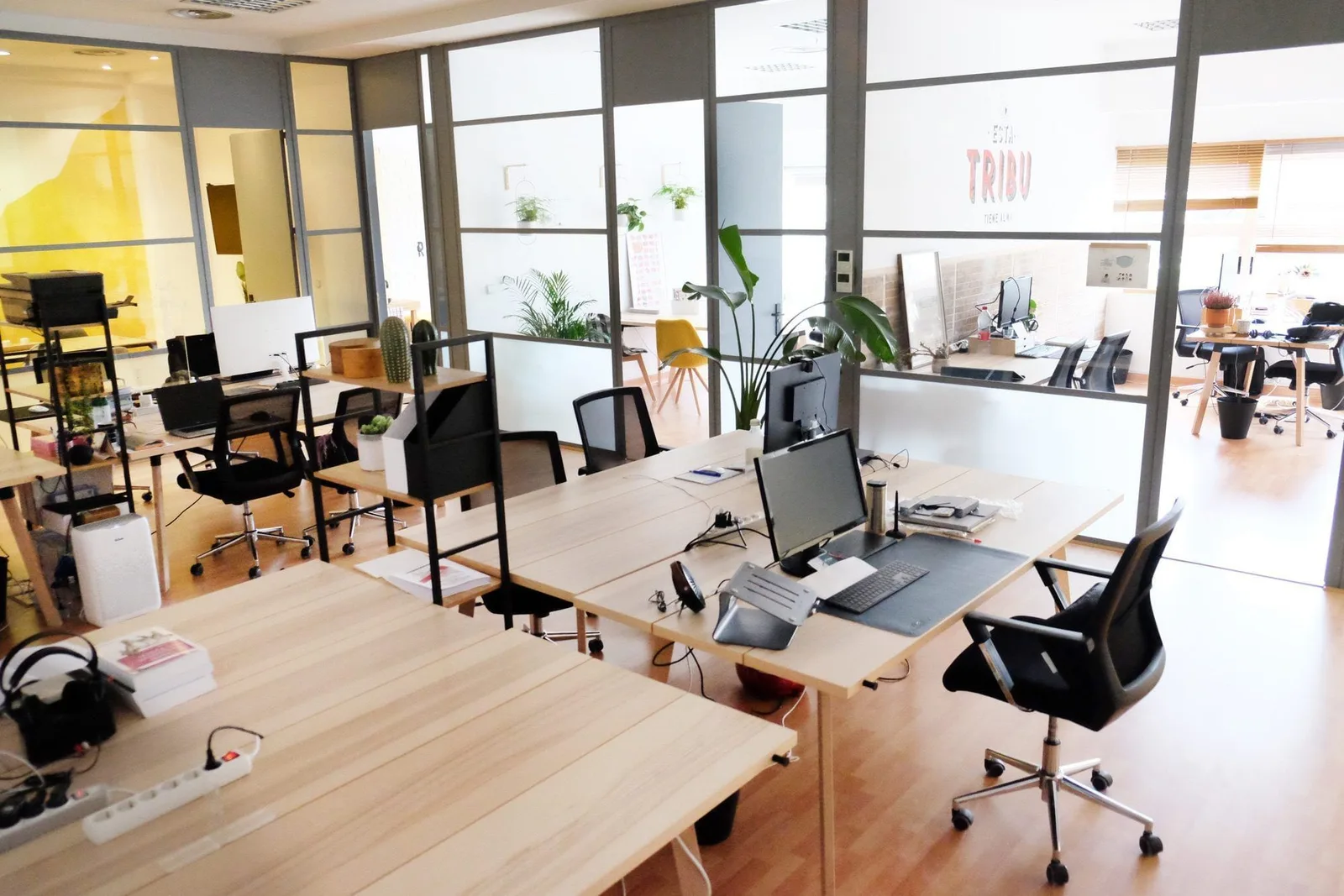Coworking  13 Manos, Espacio diáfano, Las Rozas de Madrid