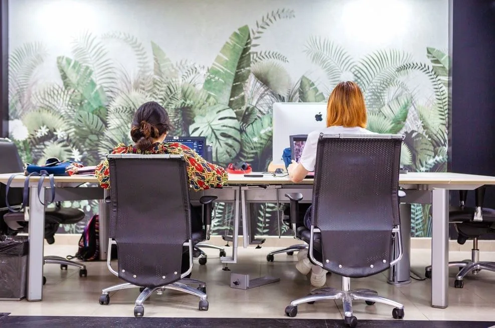 Coworking Almería Contenido Creativo, Open space, Almeria