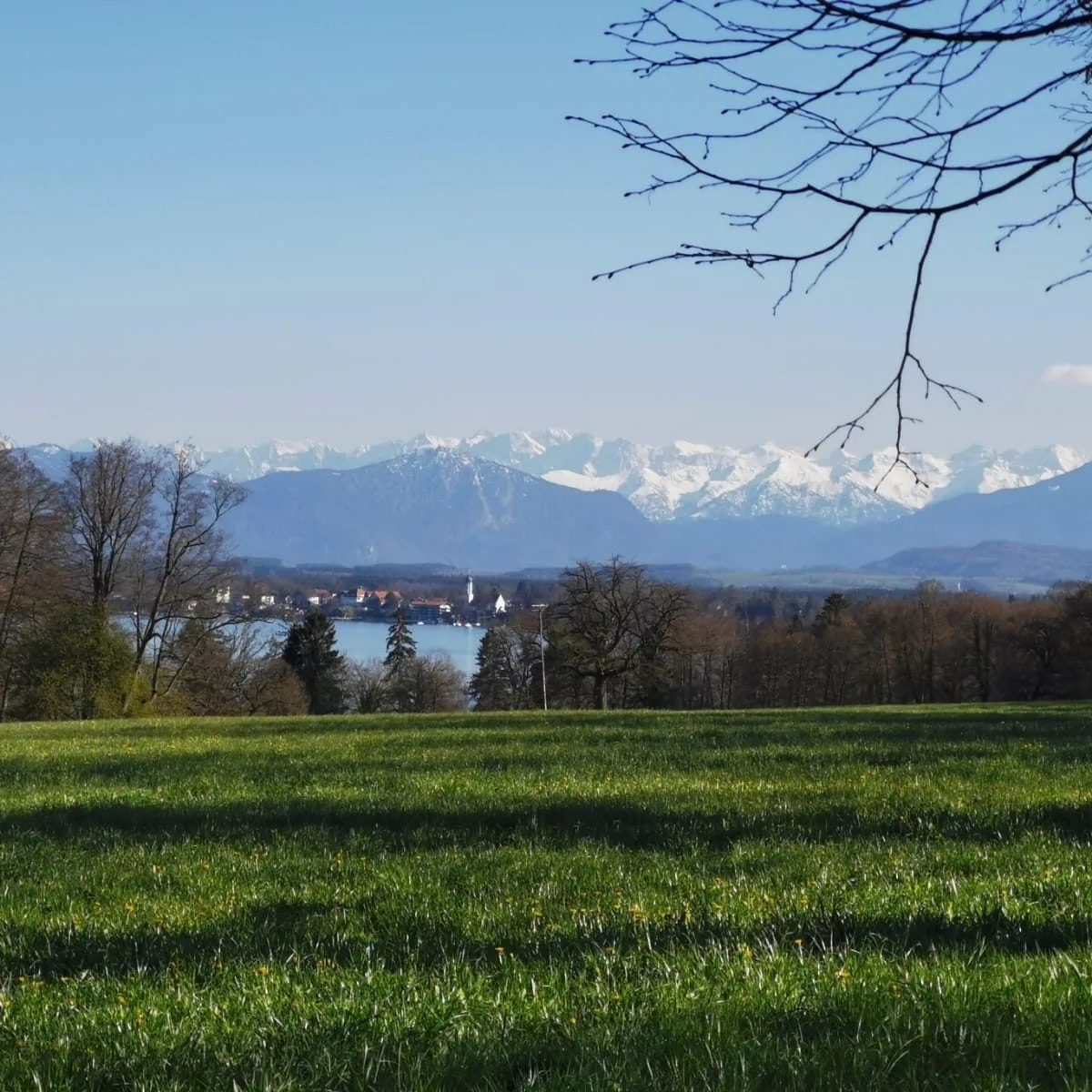 Coworking Compagnon, Terrace and outdoor space, Bernried am Starnberger See