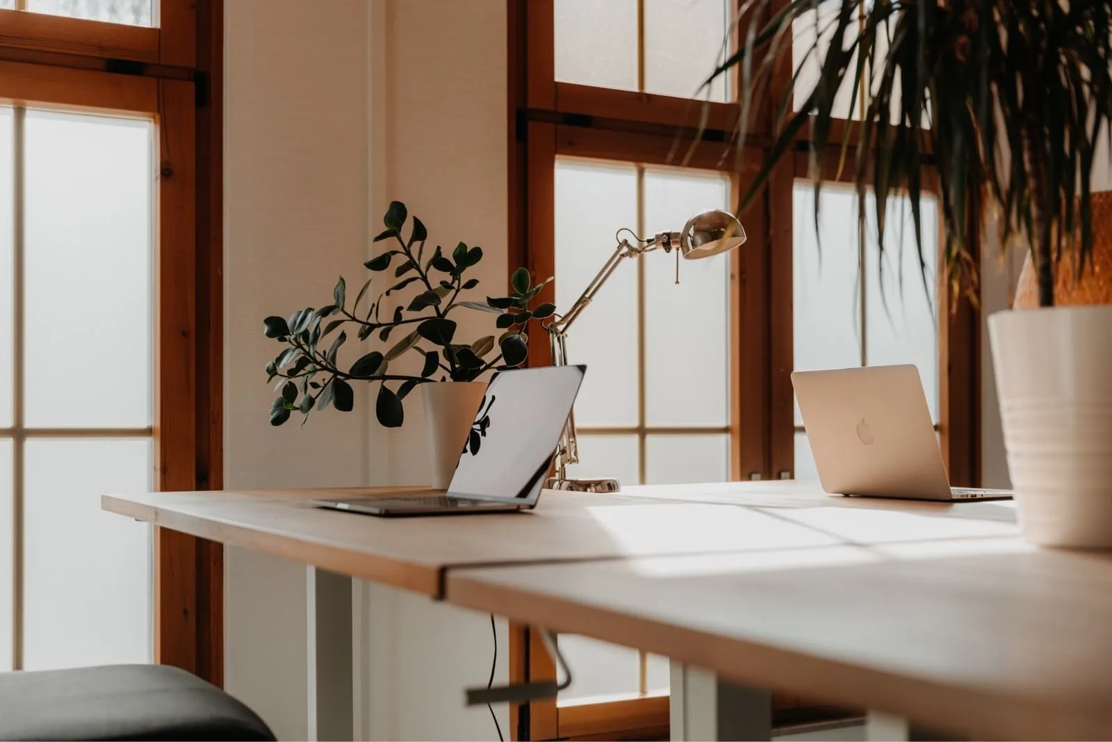 Coworking Connewitz, Privatbüro mit 2 Arbeitsplätzen, Leipzig