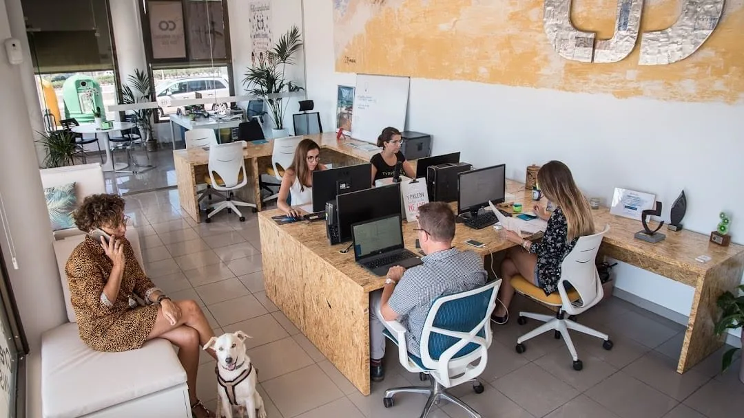 Coworking Costa Adeje, Open-plan office, Fañabé