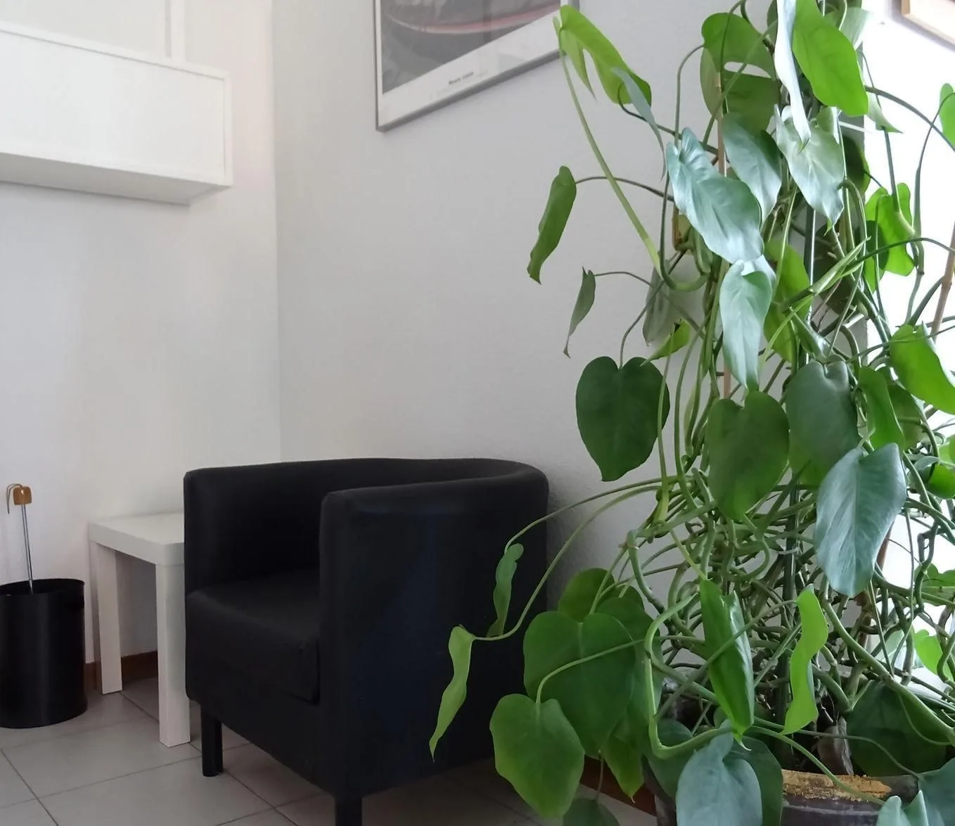 Coworking Foresta 43, Lounge, Tres Cantos