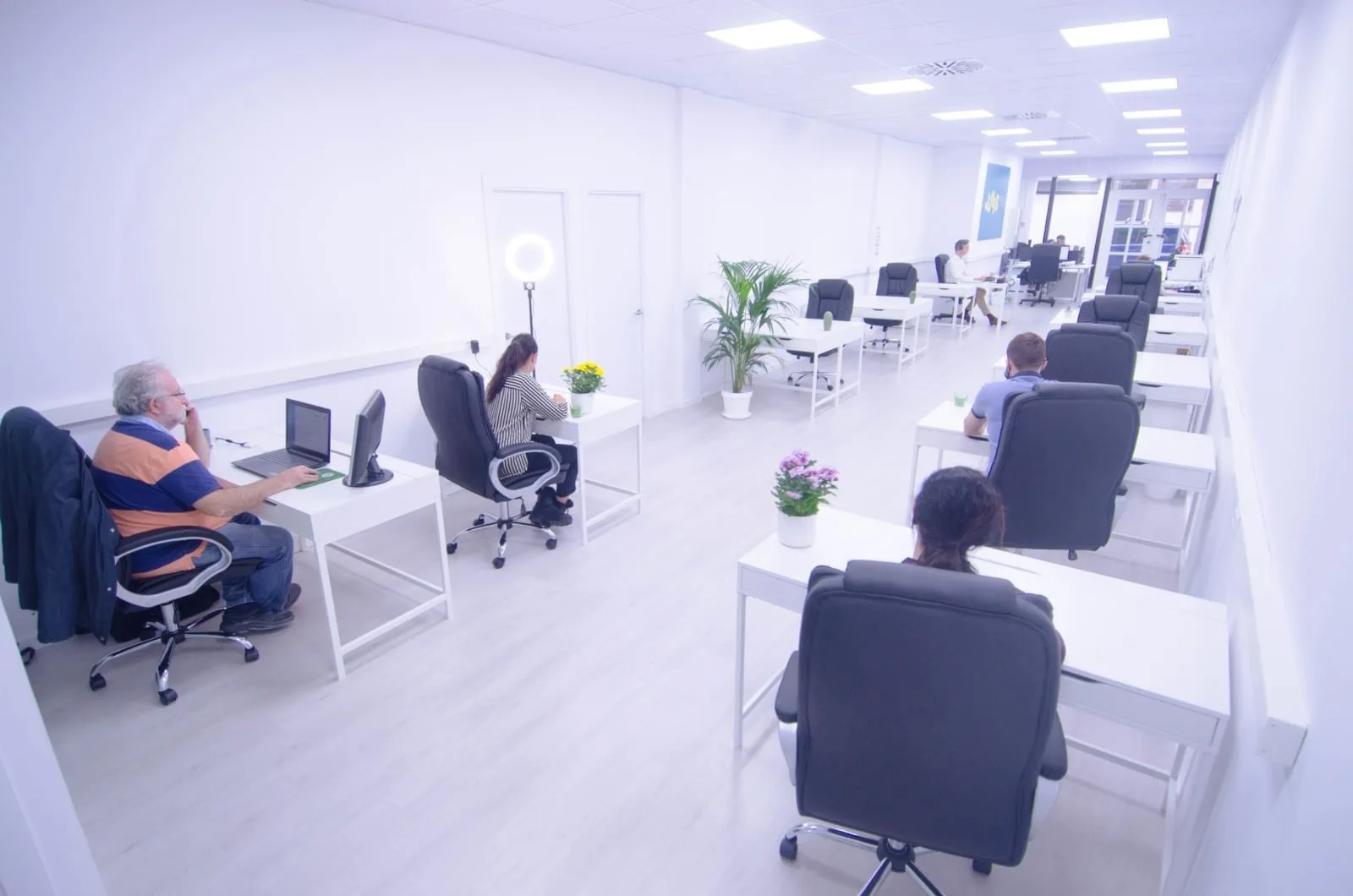 Coworking Junts, Espacio diáfano, Palma