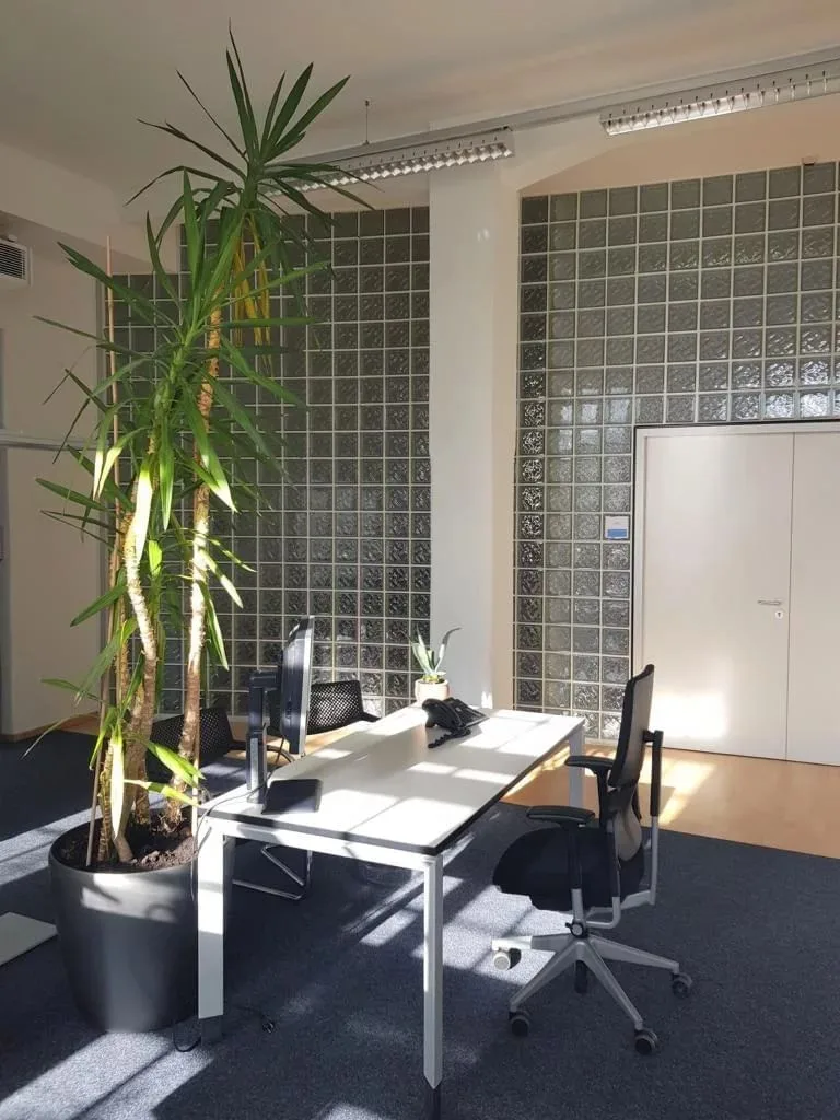 Coworking Konstanz by bizzcenter, Private office, 2 desks, Konstanz