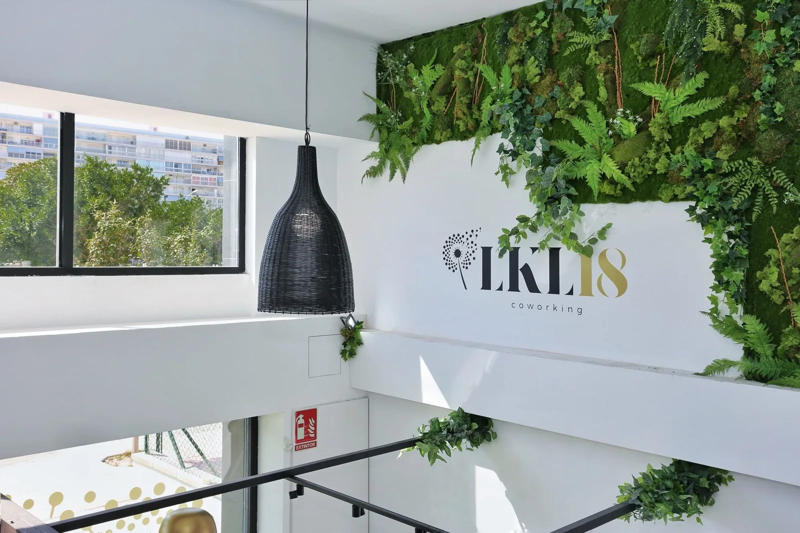 Coworking Lkl18, Recepción, Alicante (Alacant)