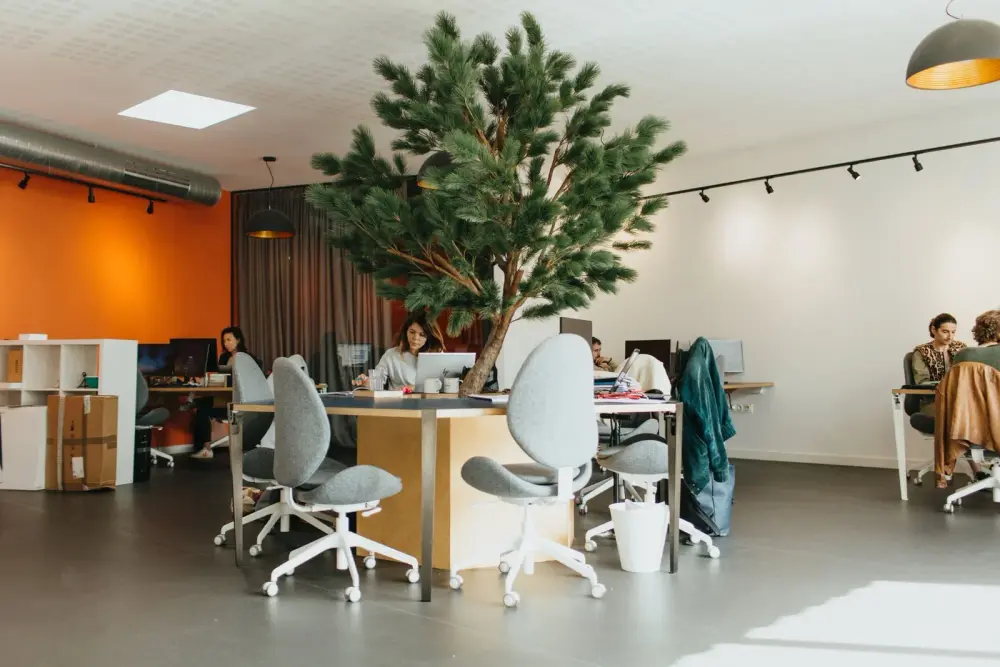 MOTA Manutention, Coworking, Bordeaux