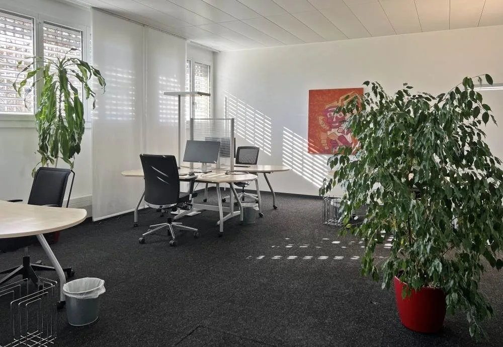 Coworking Otter Work, Private office, 4 desks, Wetzikon