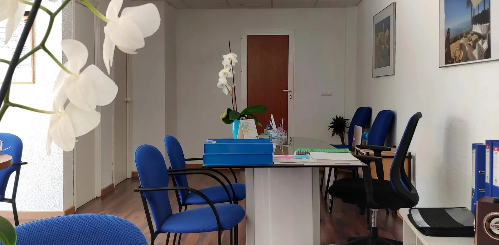 Coworking Playa San Juan, Private office, 1 desk, Alicante