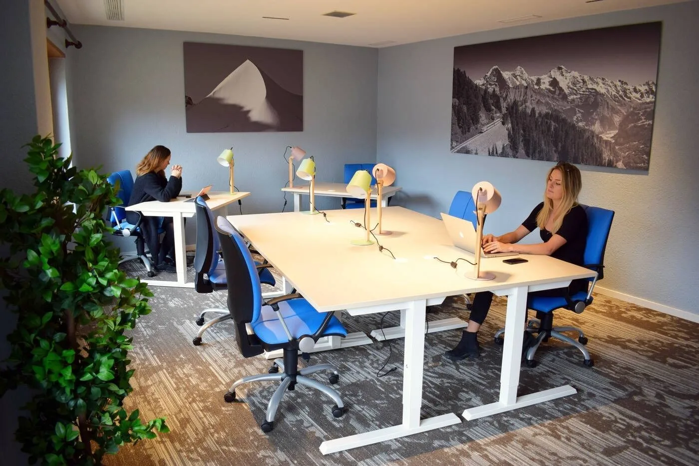 Coworking Space Wengen, Private office, 8 desks, Lauterbrunnen