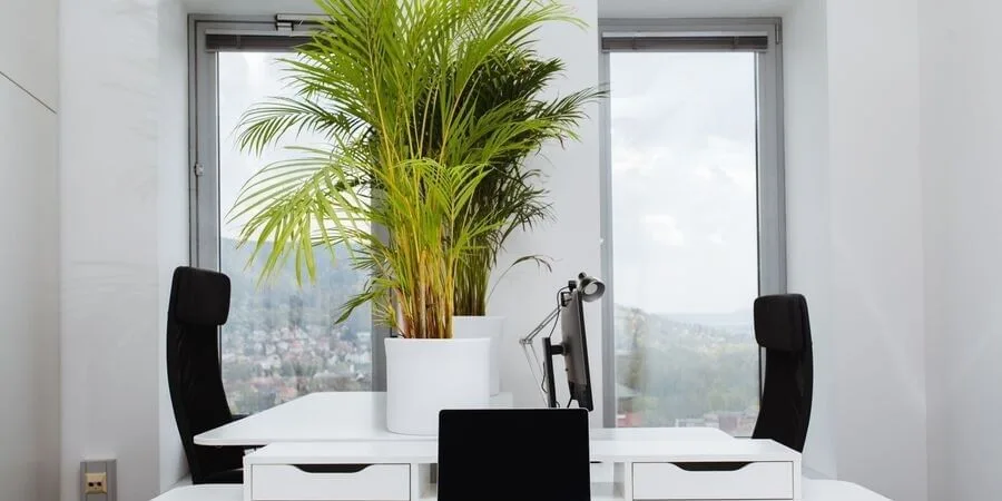 Coworking4You Jena, Privatbüro mit 2 Arbeitsplätzen, Jena