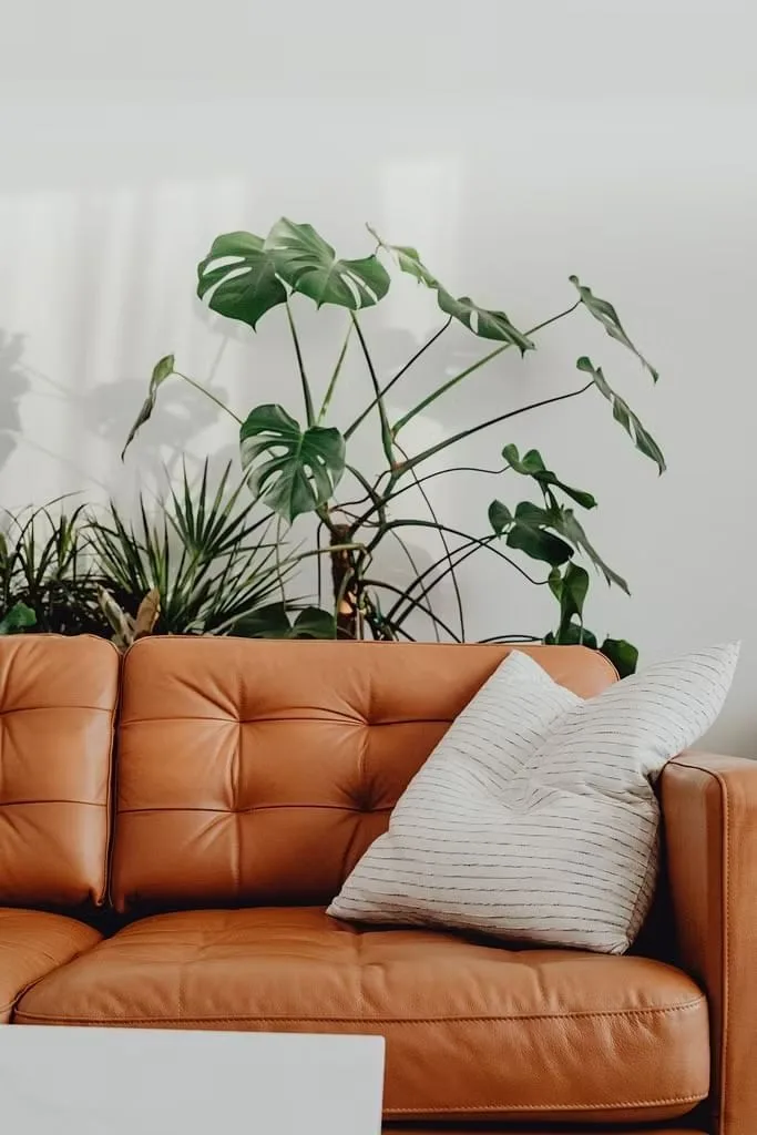 Cozylab, Espace détente, Genève