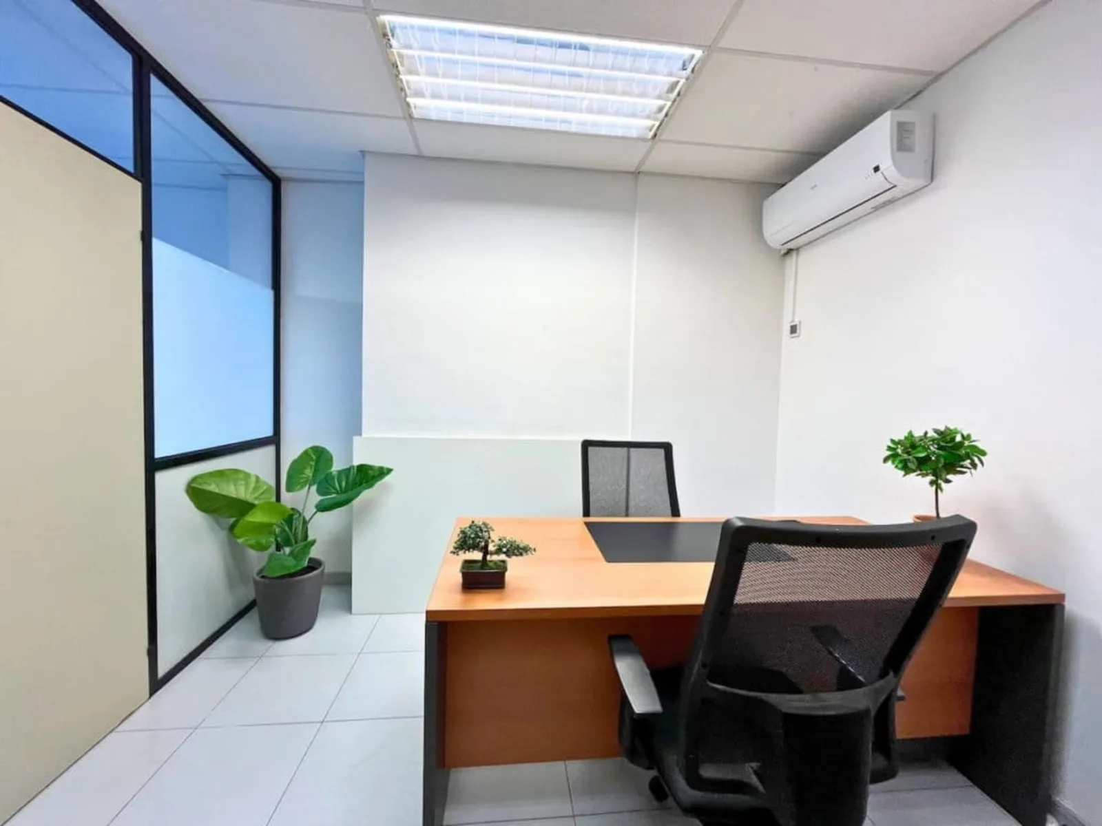 CREC Letamendi 1, Private office, 1 desk, Barcelona