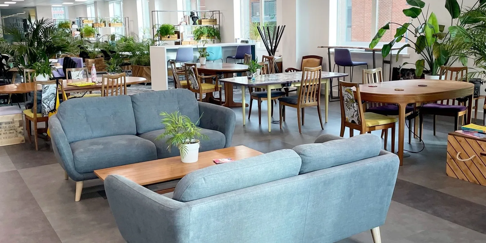 The Curious Lounge, Coworking space, Reading