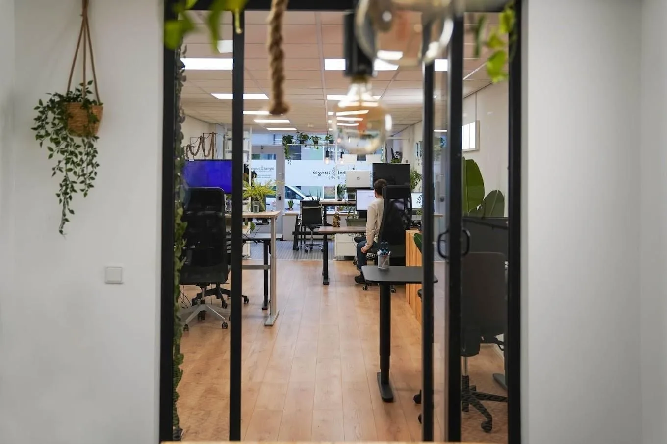 Digital Jungle Studio, Open space, Bréda