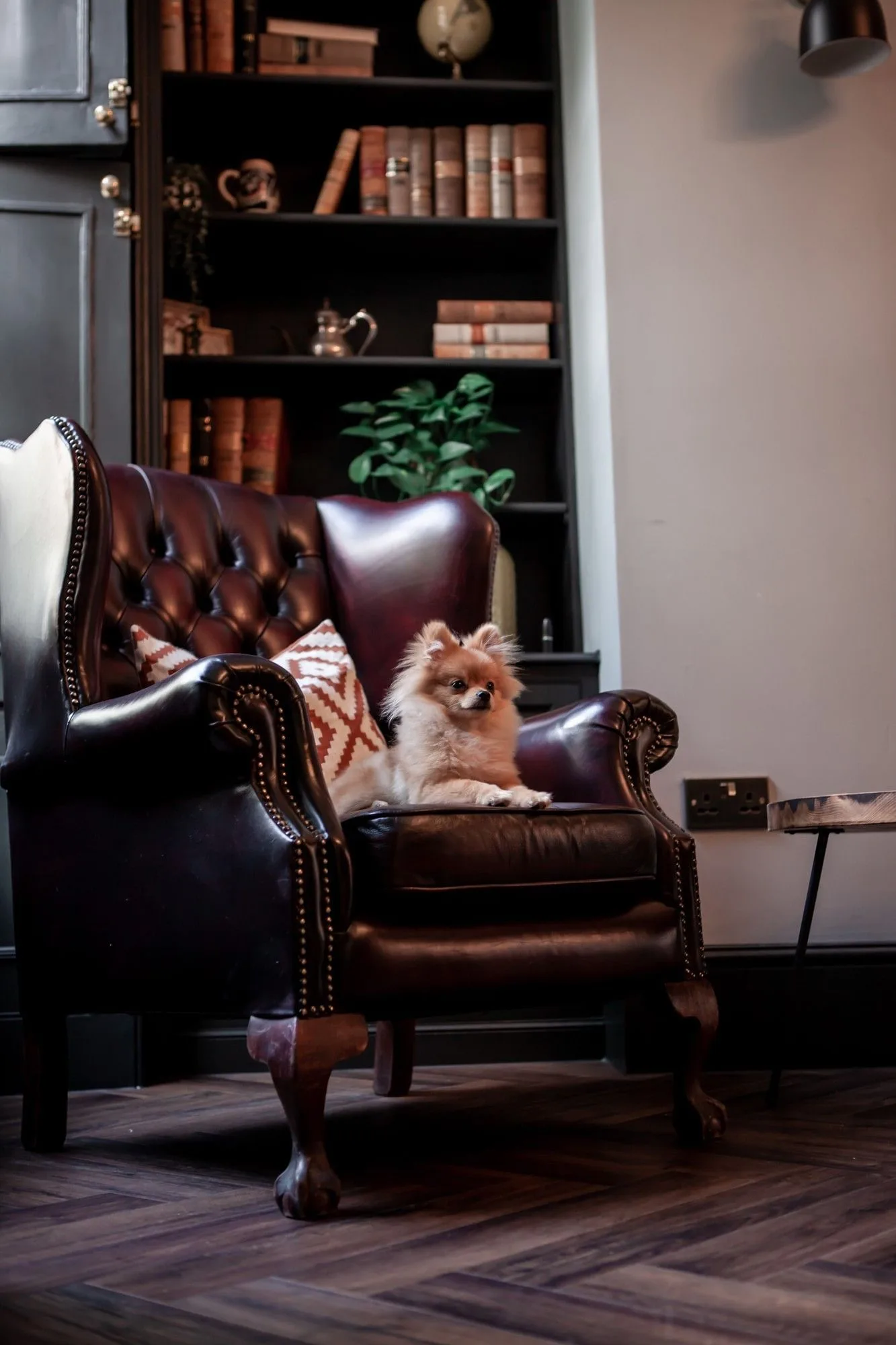 The Drayton - 1 Bedford Row, Lounge, London