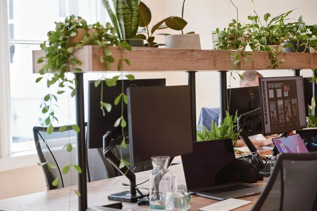 Drop-in London, Open-plan office, London