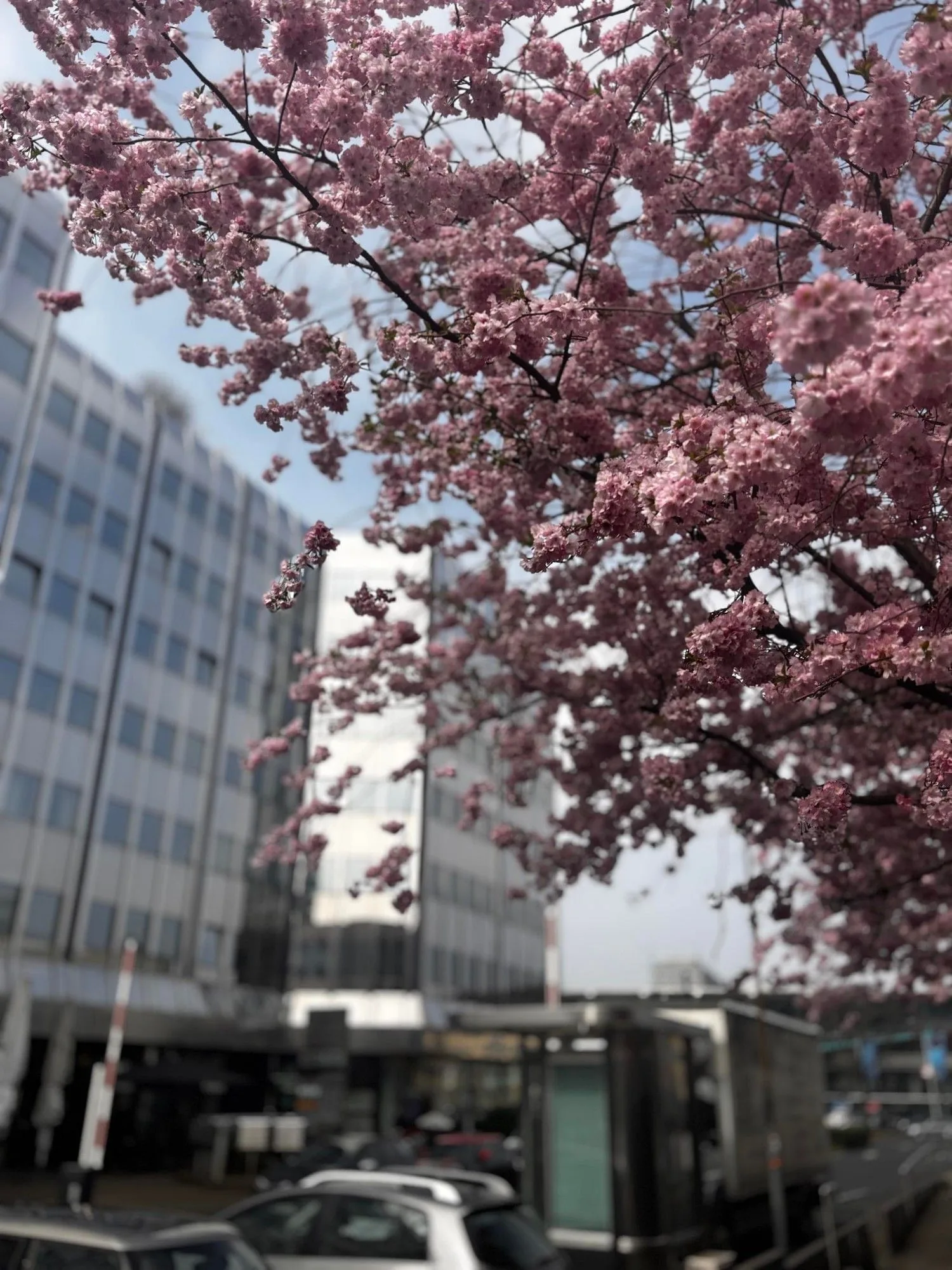 dusBASE, Gebäudefassade, Düsseldorf