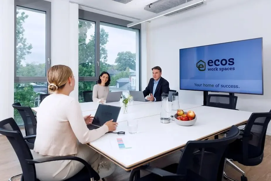 Ecos Work Spaces Wiesbaden, Meeting room for 6 people, Wiesbaden