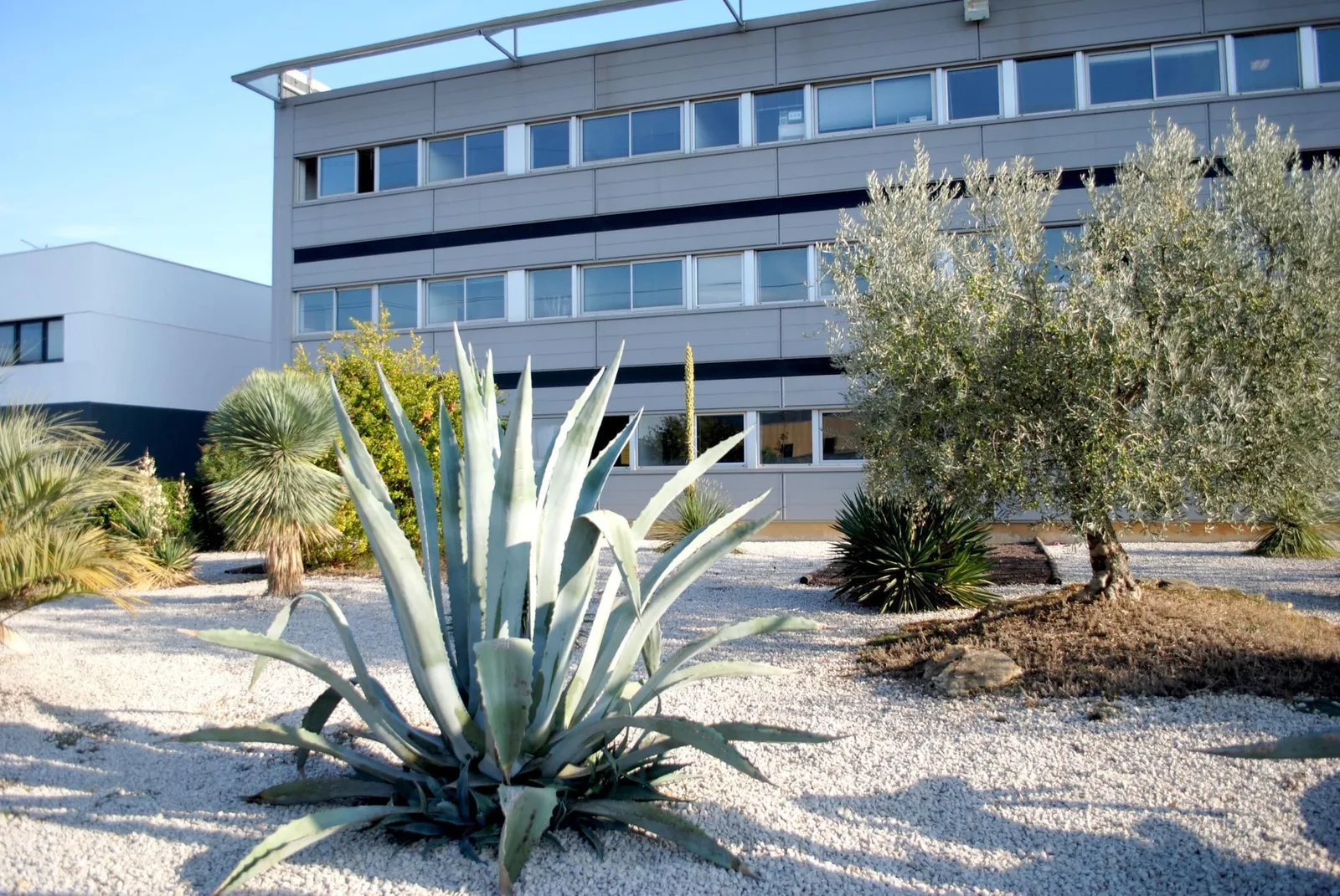 Espace Entreprise, Terrasse et espace extérieur, Castelnau-le-Lez