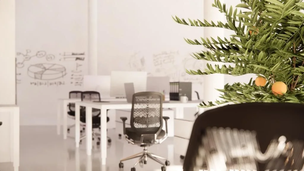 Espazo A Proa, Open-plan office, Ames