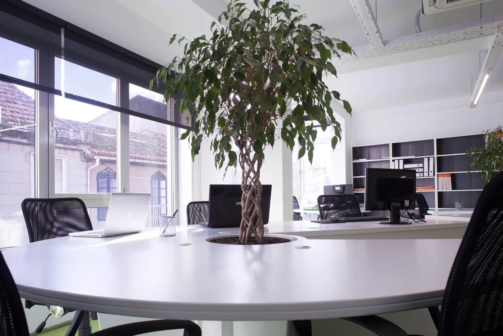 La Factoria De Proyectos, Open-plan office, Bueu