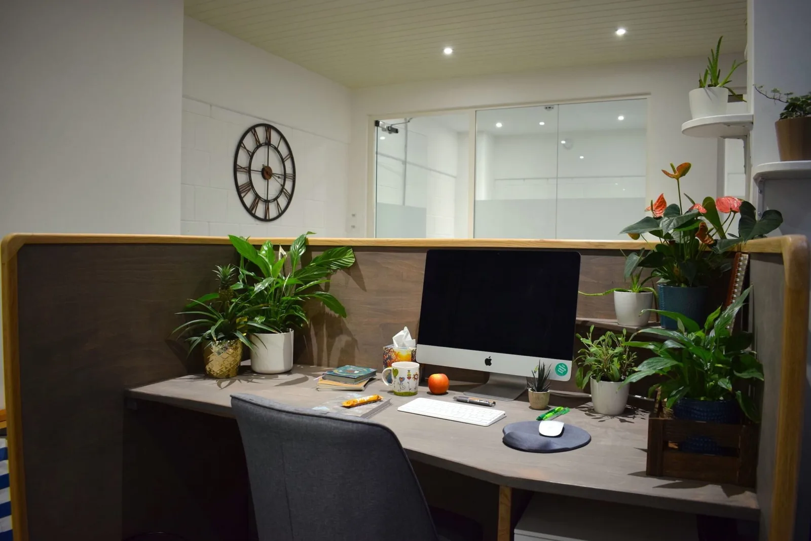 Fastnet House, Private office, 1 desk, Falmouth