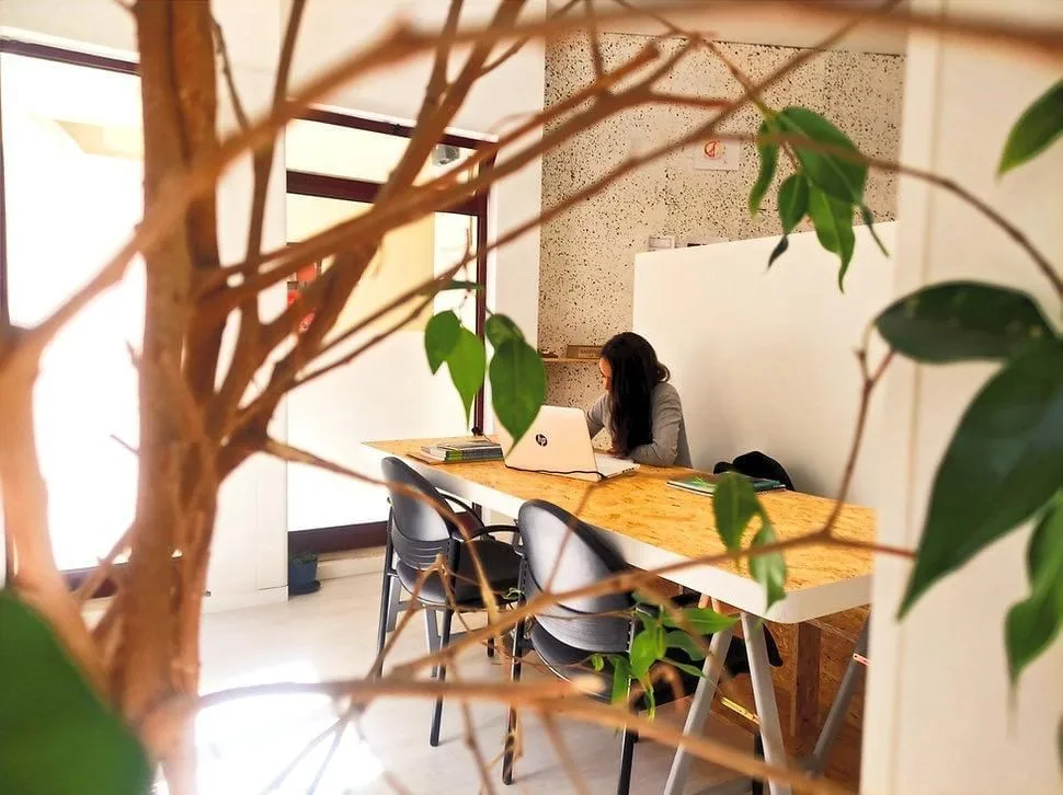 Fénix Co-work Esposende, Espacio de coworking, Esposende