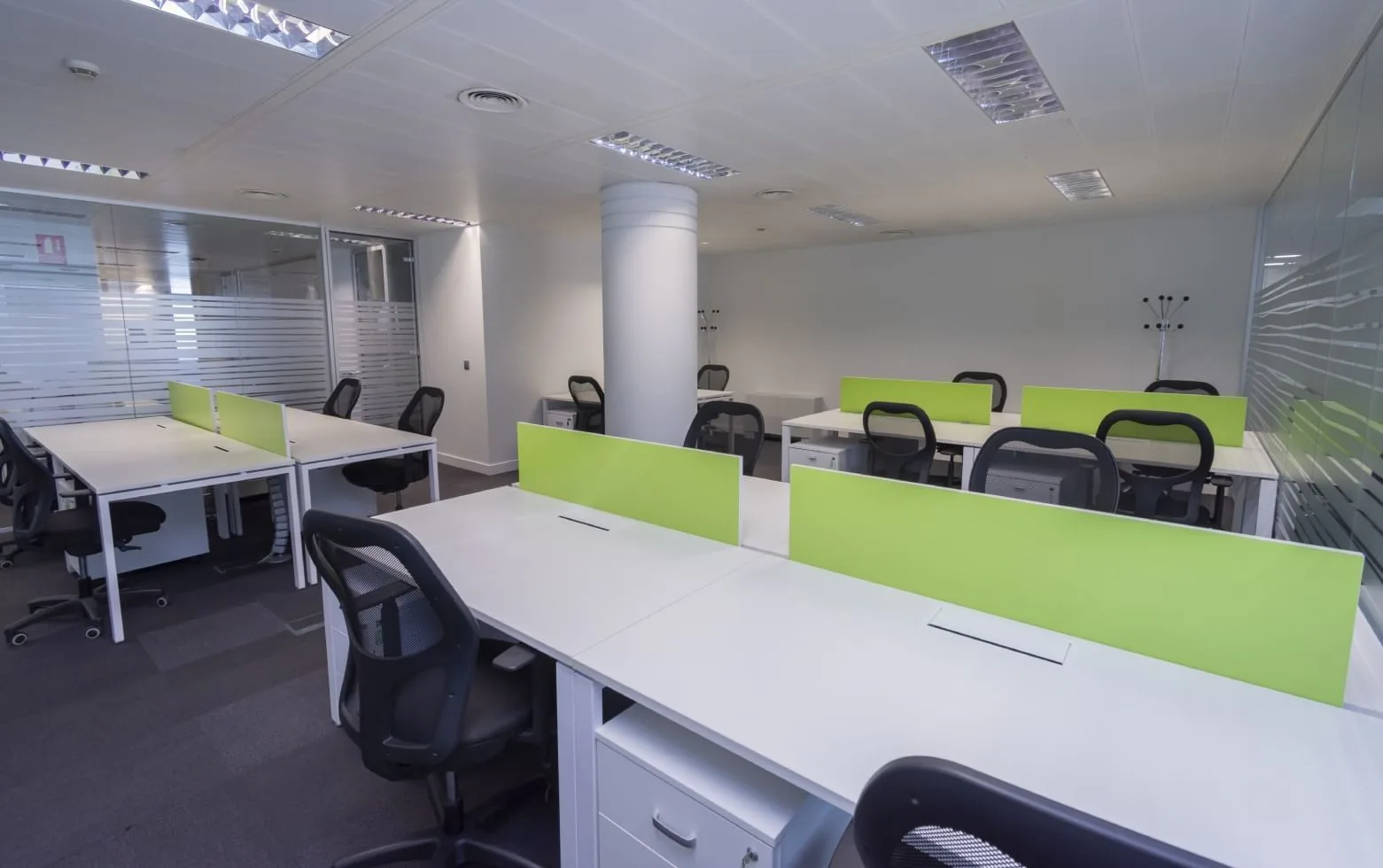 First Workplaces Maria Molina, Open-plan office, Madrid