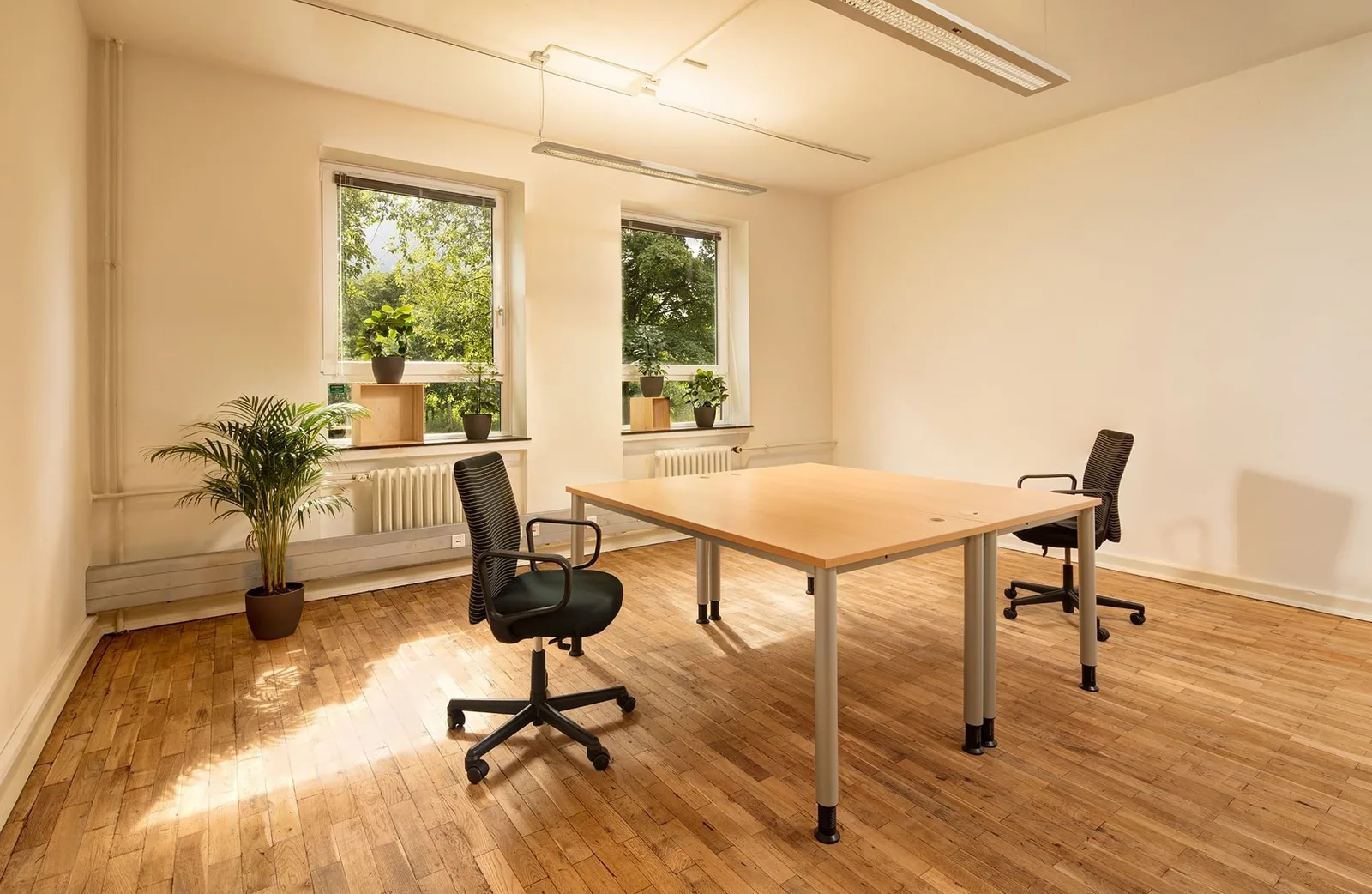 Flensburg Coworking, Privatbüro mit 2 Arbeitsplätzen, Flensburg