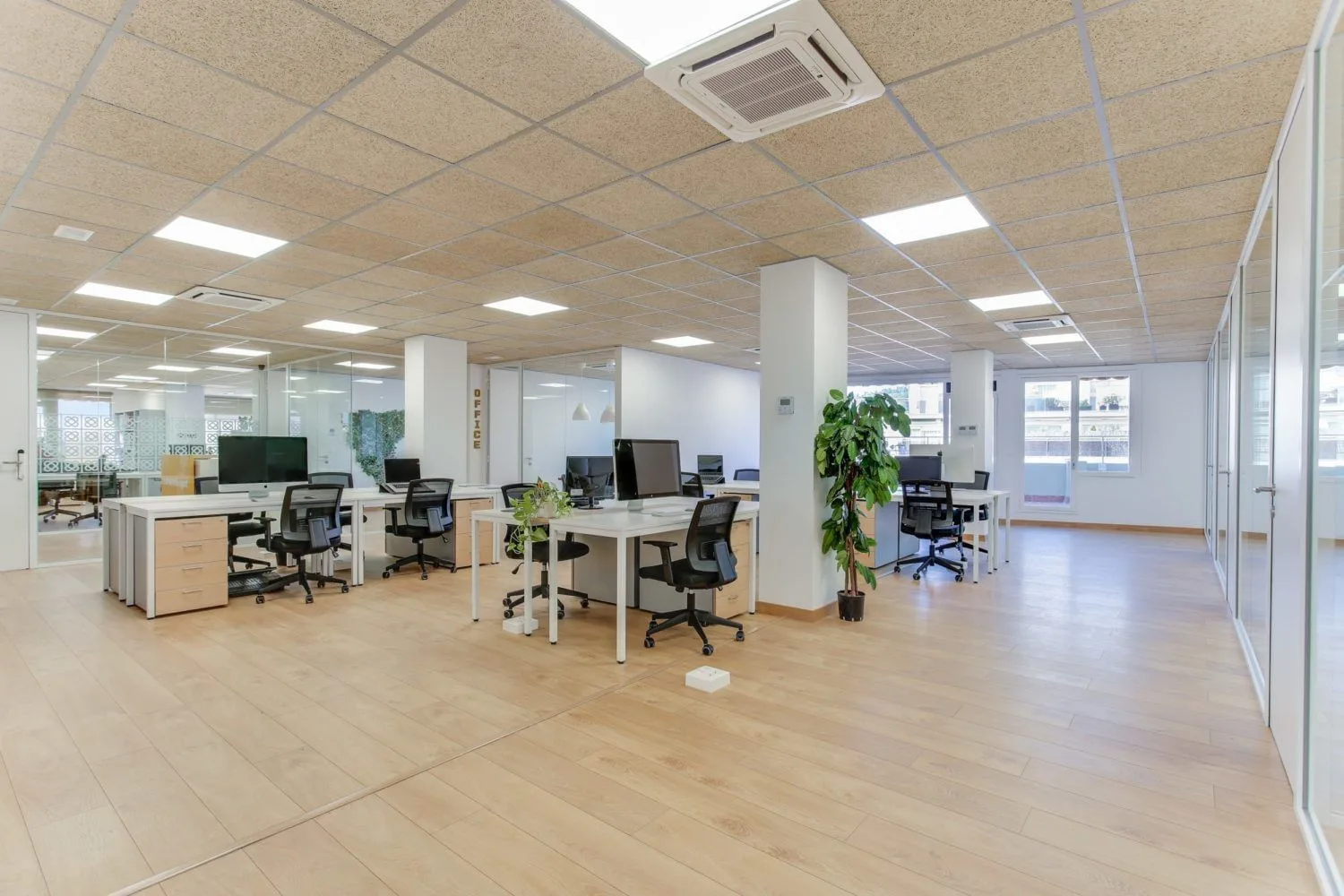 Flycowork, Espacio diáfano, Barcelona