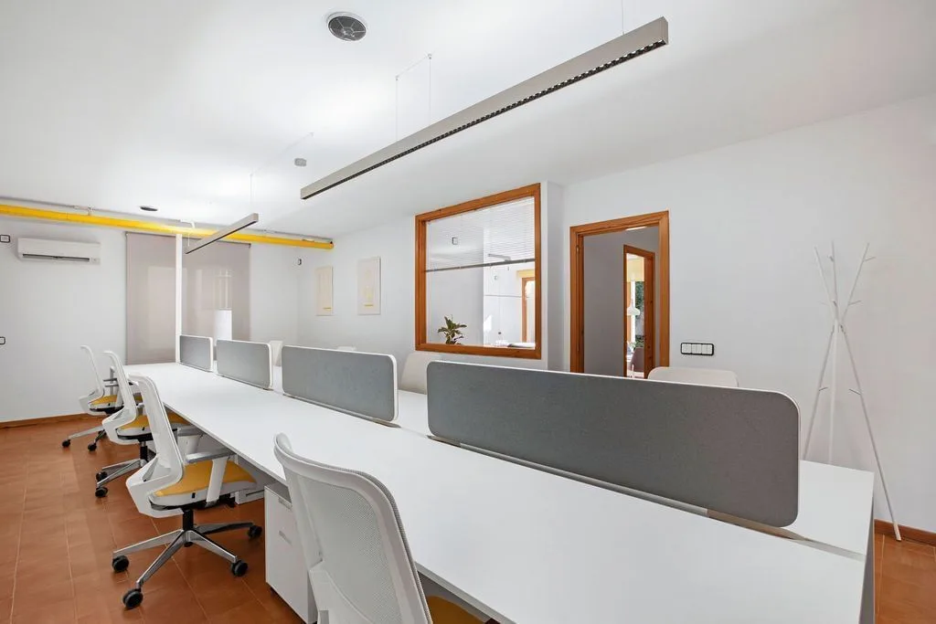 Fortuny 3, Open-plan office, Palma