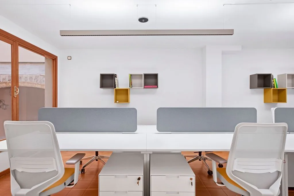 Fortuny 3, Open-plan office, Palma