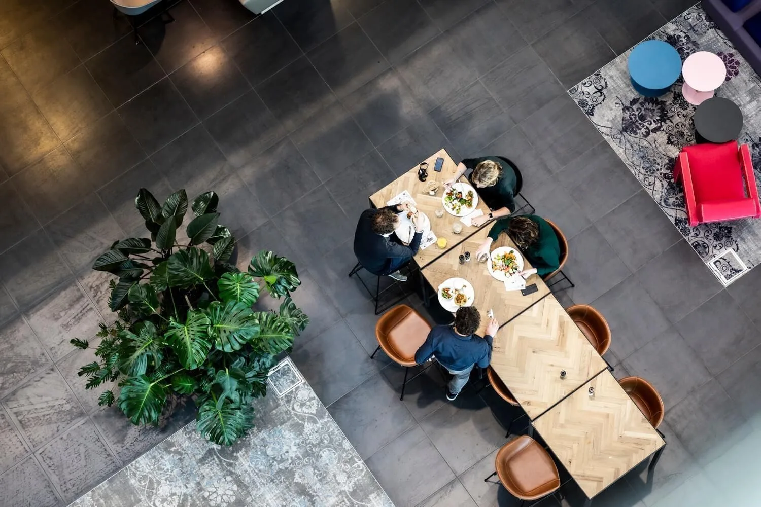 Frame Offices Alphen aan den Rijn, Cafétéria, Alphen aan den Rijn