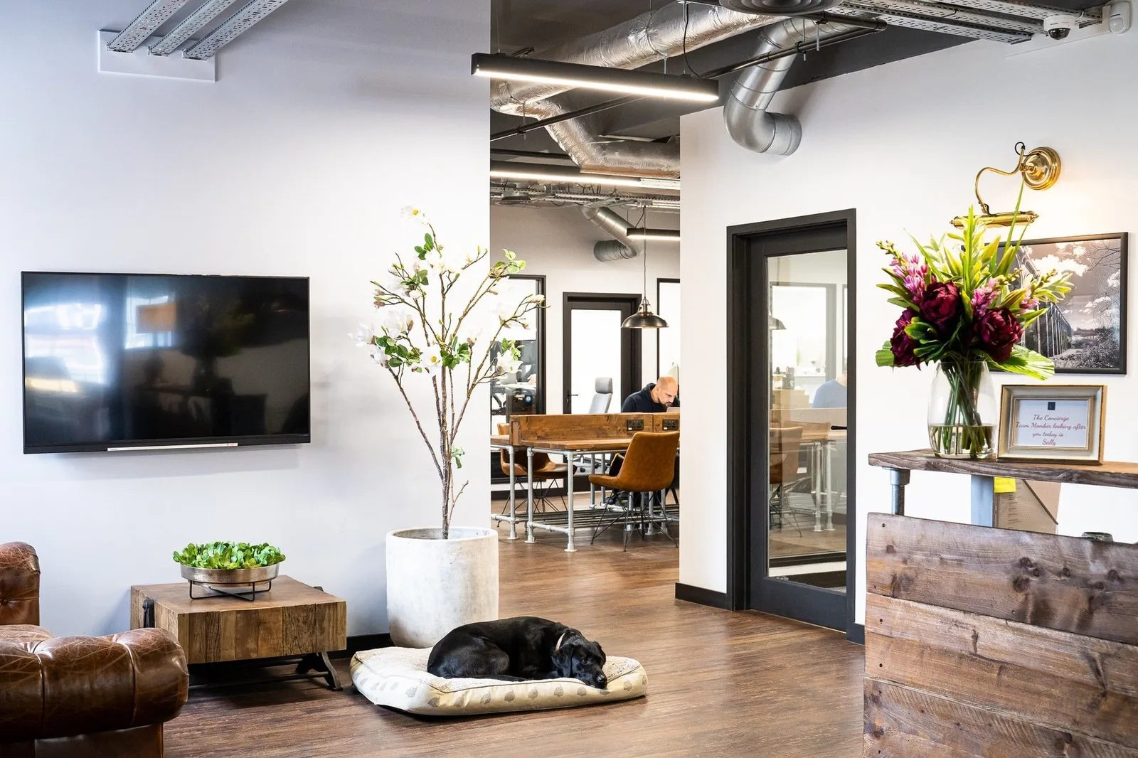 Freshmill, Reception, Haywards Heath