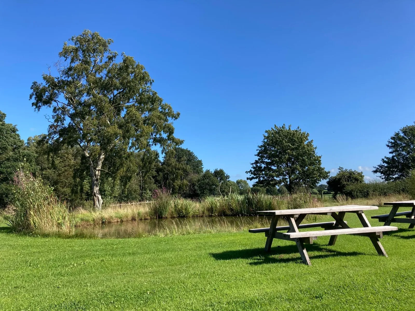 Gawsworth Business Court, Terrace and outdoor space, Congleton